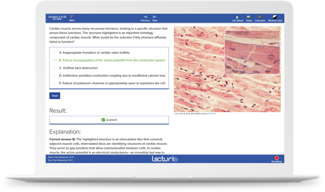 usmle practice test answers